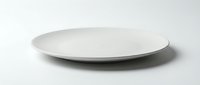 Empty white ceramic plate on clean background for food presentation and culinary design projects.