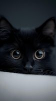 Close-up portrait of black cat with bright amber eyes peeking over white surface against dark background, creating mysterious and captivating mood.