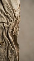 Ancient fossil imprints preserved in sedimentary rock formation showing detailed prehistoric marine life specimens for paleontology and geological research.