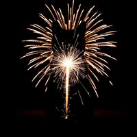 Fireworks explosion with golden sparks bursting outward against dark night sky, ideal for celebrations, New Year events, Independence Day, and festive holiday designs.