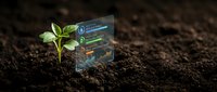 Young green plant seedling emerging from dark fertile soil with digital growth analytics overlay showing business development metrics and progress indicators.
