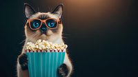 Funny Siamese cat wearing blue sunglasses holding turquoise popcorn container against dark background. Entertainment and humor concept for social media and advertising.