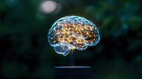 Glowing brain model with illuminated neural connections on dark background showcases artificial intelligence and cognitive science concepts for medical and tech designs.