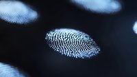 Forensic fingerprint evidence on dark surface showing detailed ridge patterns and whorls for criminal investigation and identity verification purposes.