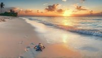 Tranquil beach sunrise with sea turtle hatchling making its way to ocean, leaving tracks in wet sand as golden light reflects off gentle waves and palm trees line shore.