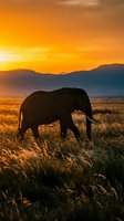 Majestic elephant silhouette grazing in golden savanna grassland during dramatic sunset with mountain backdrop creating warm atmospheric wildlife scene.