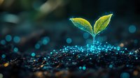 Young green plant seedling growing from soil with glowing blue light particles, representing growth, innovation, and environmental sustainability in business concept.