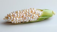 Freshwater pearl corn on white background, luxury food concept with natural pearls arranged as corn kernels on green husk.