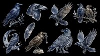 Dark ravens clipart set isolated on transparent background, ready for t-shirt design, stickers, sublimation, and print on demand crafts.