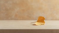 Single yellow ginkgo leaf on wooden surface against neutral beige background, minimalist autumn composition with soft natural lighting and shadows.