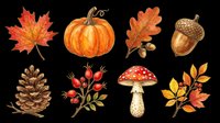 Autumn harvest collection featuring maple leaf, pumpkin, oak leaf, acorn, pinecone, rosehips, red mushroom, and fall foliage. Isolated on transparent background, ready for t-shirts, clipart, stickers, sublimation, and print-on-demand designs.