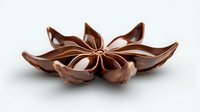 Chocolate flower sculpture with glossy brown petals arranged in decorative bloom shape on white background for culinary and confectionery design projects.