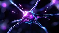 Glowing purple neuron with synaptic connections on dark background, scientific visualization showing neural network activity and brain cell communication.