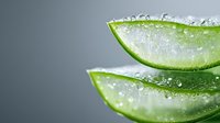Fresh aloe vera plant leaves with water drops and gel texture showing natural moisturizing properties on gray background for cosmetic and skincare concept.