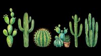 Assorted green cacti and succulents isolated on transparent background, ready for t-shirt design, clipart, stickers, print-on-demand products and sublimation projects.