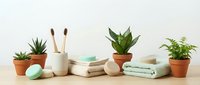 Eco-friendly bathroom essentials with green plants on wooden shelf. Zero waste lifestyle concept featuring natural toiletries and sustainable living items.