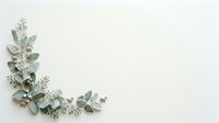 Dried eucalyptus and fern leaves arranged in corner border on white background, isolated botanical elements for wedding invitations, greeting cards, and design projects.