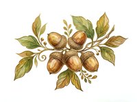 Acorns and oak leaves arranged in decorative botanical composition, isolated on white background. Suitable for autumn designs, fall-themed graphics, and seasonal projects.