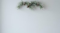 Evergreen garland with small red berries arranged on white wall for holiday decoration and seasonal home styling.