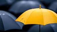 Yellow umbrella standing out among dark ones with water drops, shallow depth of field creating dramatic contrast and unique perspective.