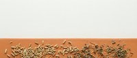 Dried herbs and seeds scattered on terracotta surface, isolated on white background for culinary, wellness, and design projects.