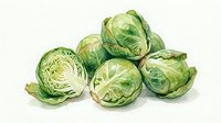 Fresh green Brussels sprouts arranged in a group, some whole and one sliced in half showing inner layers. Use for cooking, nutrition, healthy eating and vegetable-related content.