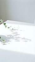 Minimalist botanical arrangement with fresh green foliage and delicate white flowers casting soft shadows on clean white surface, ideal for wellness and lifestyle design projects.