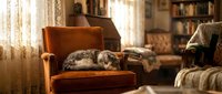 Cozy domestic cat sleeping peacefully on vintage leather armchair in warm sunlit living room with books and comfortable home interior decor.