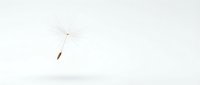 Minimalist wooden spoon floating against clean white background, isolated kitchen utensil for culinary design projects and cooking concepts.