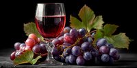 Glass of red wine with fresh purple grapes and green leaves on dark background, elegant wine tasting setup for culinary and beverage photography.