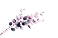 Delicate watercolor eucalyptus branch with pink and purple gradient leaves on white background, botanical art illustration isolated for design projects.