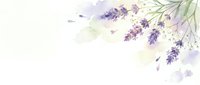 Watercolor lavender flowers with soft purple blooms and green stems on white background, suitable for wedding invitations and botanical designs.