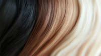 Hair color gradient from black to blonde showing smooth transition through brown tones for salon color chart and beauty industry applications.