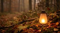 Vintage lantern glowing warmly among autumn ferns and fallen leaves in enchanted forest setting for cozy seasonal camping and outdoor adventure themes.