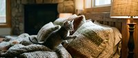 Tabby cat resting on cozy knit blankets and pillows in warm rustic interior with fireplace and natural lighting for home decor and lifestyle content.