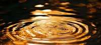 Concentric ripples on golden water surface create mesmerizing circular pattern with light reflections in dark background, abstract nature photography.