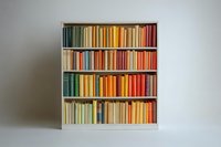 Colorful books arranged by spectrum colors on white wooden bookshelf against neutral wall, creating rainbow gradient effect in home library setting.