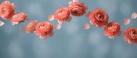 Coral pink ranunculus flowers floating on soft blue background with scattered petals creating romantic floral composition for wedding invitations.