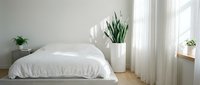 Minimalist bedroom interior with white bedding, houseplants and natural light from large windows creating serene sleeping space for home decor.