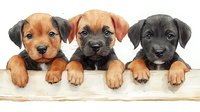 Three adorable mixed breed puppies of different colors - brown, dark brown and black - peeking over white wooden fence, looking directly at camera with sweet expressions.