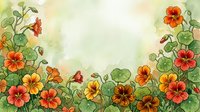 Watercolor nasturtium flowers in orange, red, and yellow tones frame a soft green background, creating a vibrant floral border with copy space.