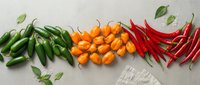 Colorful chili peppers arranged in gradient from green to orange to red on textured surface with fresh herbs for spicy cooking and culinary designs.