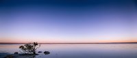 Serene lake at twilight with lone tree and smooth water reflecting purple sunset sky creating peaceful minimalist landscape for meditation and relaxation.