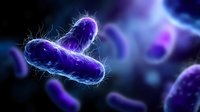Glowing purple bacteria with electrical charges floating in dark microscopic environment, scientific visualization of microorganisms in medical research background.