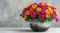 Vibrant bouquet of pink and orange chrysanthemum flowers in rustic stone pot against neutral gray background, creating colorful home decor accent.