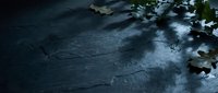Wet dark asphalt surface with scattered green leaves and water reflections, suitable for moody backgrounds, environmental storytelling, and atmospheric design projects.