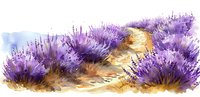 Watercolor landscape with winding path through blooming lavender bushes in purple and gold tones, artistic nature illustration for wall decor.