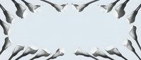 Elegant calla lily border frame on soft blue-gray background with copy space, perfect for wedding, funeral, or spring floral design projects.