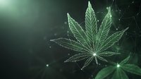 Glowing cannabis leaf outline with geometric connections on dark green background, digital network visualization showing medical marijuana concept.