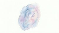 Watercolor abstract shape with soft blue and pink tones featuring a minimalist line art crystal form, isolated on white background for design projects.